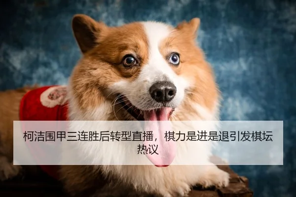 柯洁围甲三连胜后转型直播，棋力是进是退引发棋坛热议