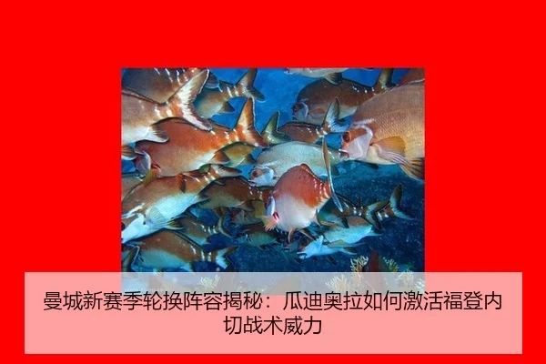 man-cheng-xin-sai-ji-lun-huan-zhen-rong-jie-mi-gua-di-ao-la-ru-he-ji-huo-fu-deng-nei-qie-zhan-shu-wei-li-3-463.jpg