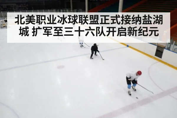 ice hockey game